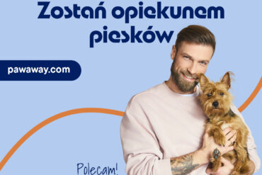Cavalier pod opieką jak w domu – poznaj PawAway i zadbaj o spokój swojego pupila
